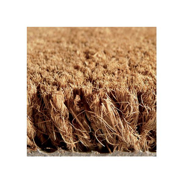 BROSSE QUALITE NORMALE écru à la coupe - 9953262380-brosse_profil_15x15cm.jpg